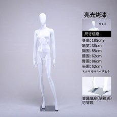 빛전시회