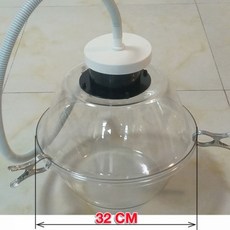 아기발도장투명
