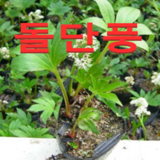 dea99b059cf5f4fc8ce4e525ab27301ac1b539657d48e4844a1f8425a930.png