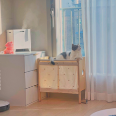 고양이 해먹 침대 캣타워_위드미어캣, 1세트, 우드