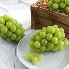 달님식품 샤인머스캣 shinemuscat grape, 샤인머스캣 1kg 내외 (2-3수), 1개