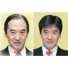 소프트투블럭댄디컷