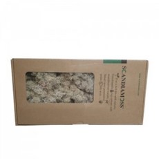 디퓨저원데이클래스