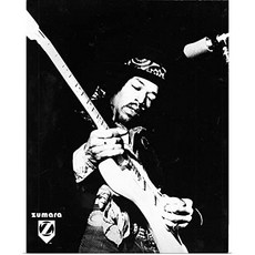 EOM Jimi Hendrix B 미술 포스터 인쇄 음악 가정 장식 삽화 36x45 [36" x 45"] - E0510083XB3NTS2