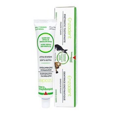 베토퀴놀 엔자덴트 엔지메틱 치약 90g, 1개