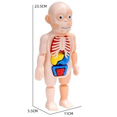몬테소리3d퍼즐