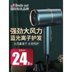 헤어 드라이어 드라이기 헤어드라이어 헤어드라이기 전문가용 가정 기숙사 학생을 음이온 케어 이발소 조용한 크고 작은 파워, 1 1000w 간단한 흰색 가정용 기본 모델
