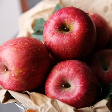 영주풍기사과 TOP01