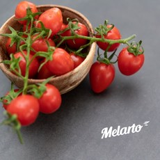 고당도 멜라토 스테비아 방울 토마토 500g 2팩/4팩, 2개