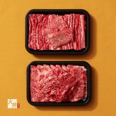 [대정한우]1++등급 투쁠 한우선물 미니 오마카세 400g(선물가방 포함)(갈비살+살치살+꽃살+업진+갈비추리), 1개