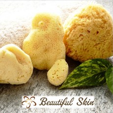 뷰티풀스킨천연해면스펀지