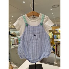 블루독슈트
