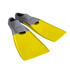 조이에발라이트듀오