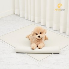 카라즈마카롱