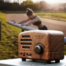 바이폴라스피커