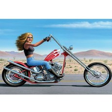 오토바이십자수