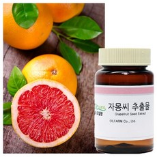 자몽씨 추출물(GSE) 자몽씨추출물 grapefruit seed extract 자몽추출물, 100g - 자몽씨추출물