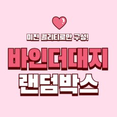 바인더대지 랜덤박스 / 포토카드 헤더택 인덱스대지 콜렉트북 바인더 생일선물 포카 공굿 탑로더, 1개, 단일