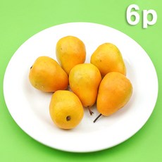 서양배모형