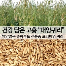 대양쌀귀리