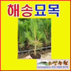 cb647f87ccc89007cc6ff5794c82c791cc6c04f55b20bbad9cc016751132.png