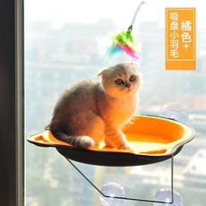 베베누보유리해먹