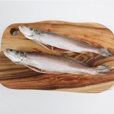 자갈치닷컴