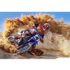 오토바이십자수