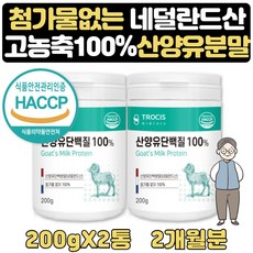 네덜란드분유