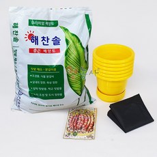 재배소년