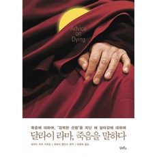 달라이 라마 죽음을 말하다 / 담앤북스, 단품, 단품