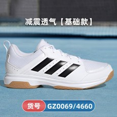 gz0069