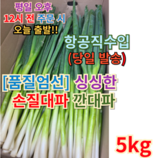 [항공직수입] <<신선대파 손질대파 깐대파 5키로 10키로>> 싱싱한 신선한 중국대파 파 수입파 중국산대파 수입대파 대파10키로 대파5키로, 5.001kg, 1개