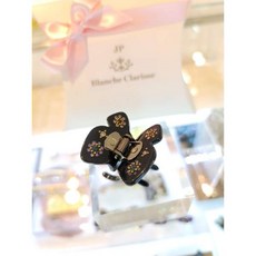 장폴클라리쎄집게핀