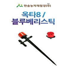 블루베리관수