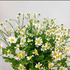 aff536beeab13a3b80304b886c543386df0eb4c0e9f65889ccc3f51148fa.jpg
