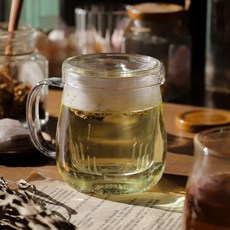 뚜껑 거름망 내열 유리 티머그 3종, 브루티 내열티머그 (리프 250ml), 브루티 내열티머그 (리프 250ml), 1개