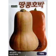 (씨앗) 땅콩호박 - 버터향이 나는 땅콩단호박 - 버터넛 스쿼시 - 땅콩호박 씨앗 종자 - 소포장 - 10립