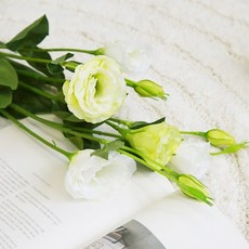 d86131c5fe2669cf34ad93331debcad0e7fdecaa9b691bb1e8f16d12dcd1.jpg