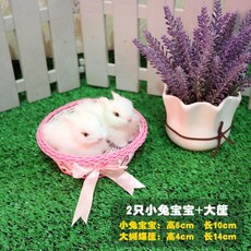1a93f6fce50d53caef5f6f43159c10eb5c17d2361f5d42718c76d43608ad.jpg