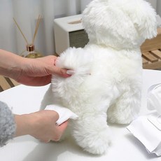 [비데 펫티슈] 쓱 딲고 변기에 쏙! 물에녹는 강아지 고양이 비데 물티슈 깔끄미 펫티슈, 4개, 60개입