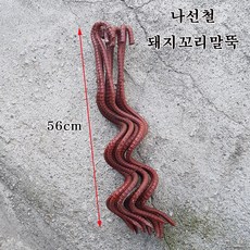 한누리팜마트 나선철 돼지꼬리말뚝 하우스밴드고정 하우스자재(10개 묶음), 1개