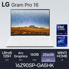 LG전자 그램 프로16 16Z90SP-GA5HK, WIN11 Home, 16GB, 256GB, 화이트