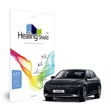 그랜저tg올인원네비