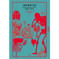 사람몸의구조