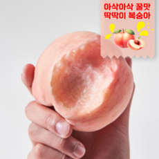 꿀과즙팡팡 복숭아 쫀복 물복 딱복 천도 백도 황도 신비 신선 납작복숭아, 2kg, 1개