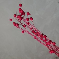 MuMu Flower