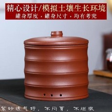 집에서 콩나물 상추 키우기 옥상 꾸미기 재배기 품은 자두콩나물 통조림 가정용 트럼펫 콩나, 01 약 2.5근 콩나물·맥반석식