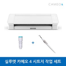 실루엣카메오4