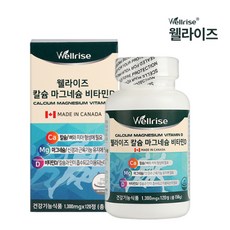 이즈웰튀김기